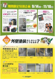 Ssunforestc13100313281