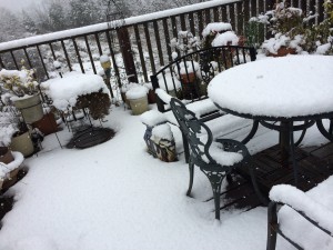 IMG_0665