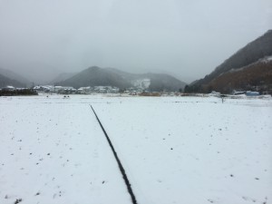 IMG_0694