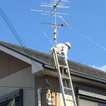 ブログ用