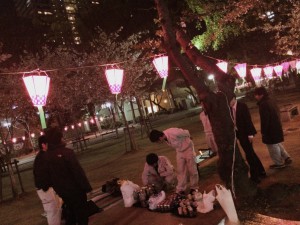 お花見①