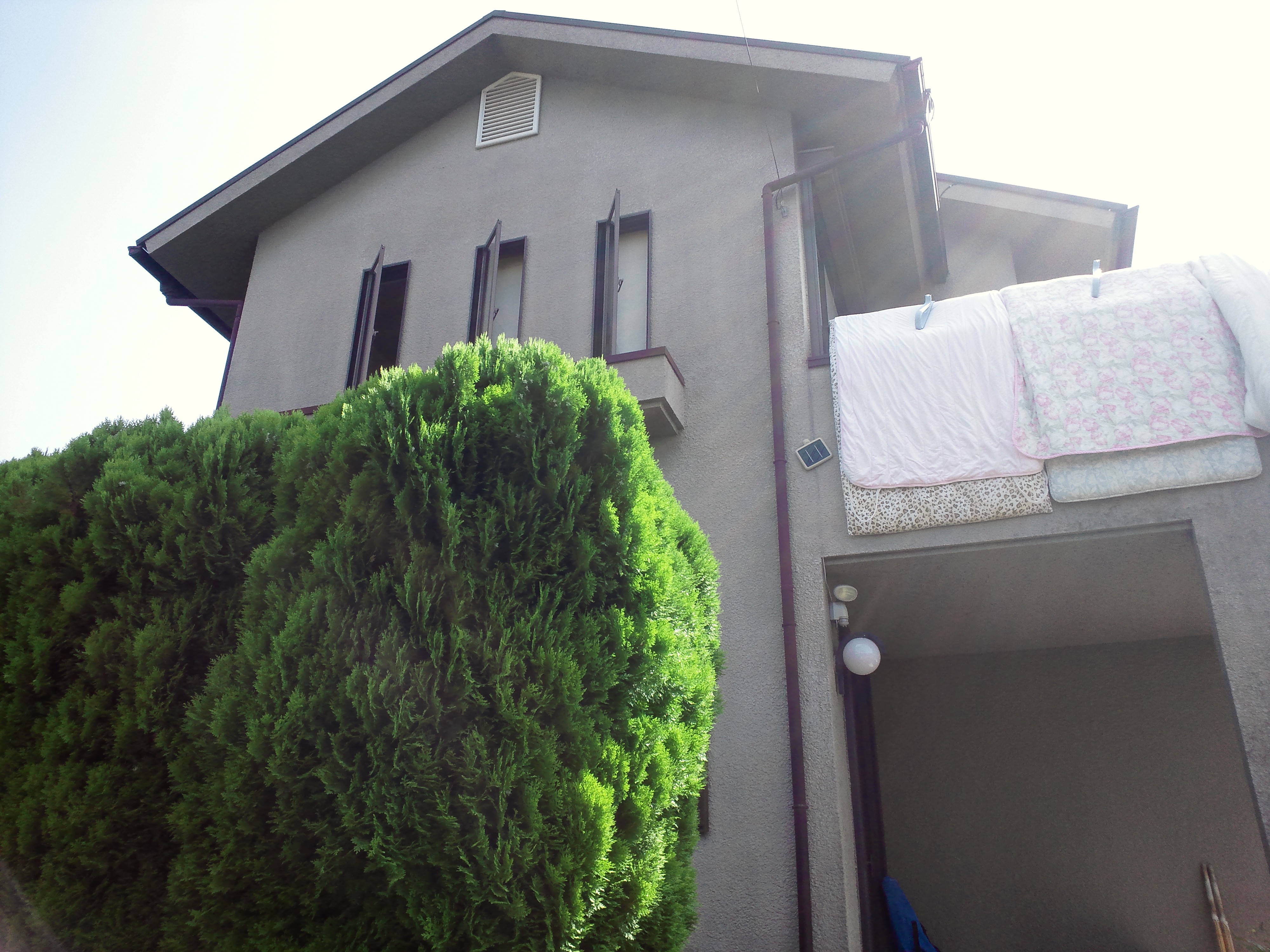 Before画像3枚目