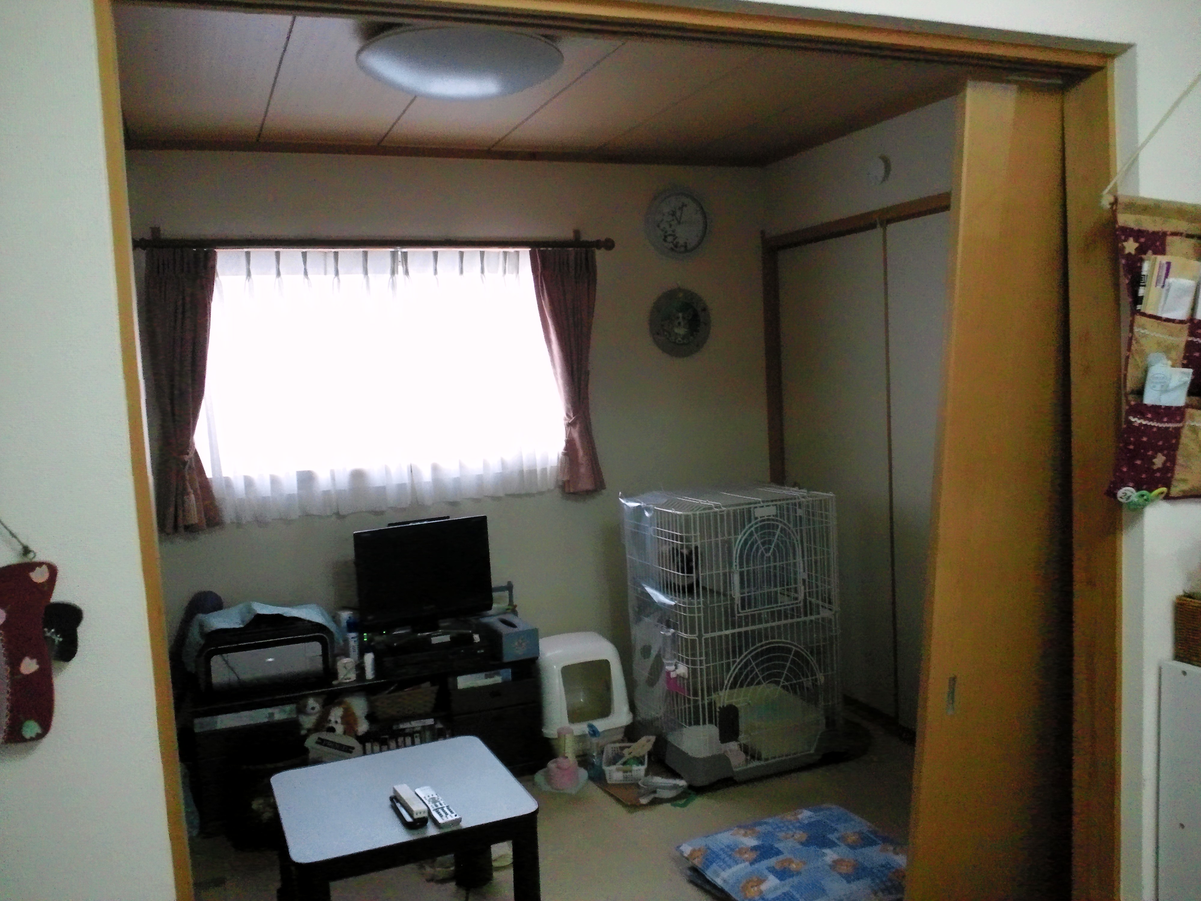 Before画像2枚目